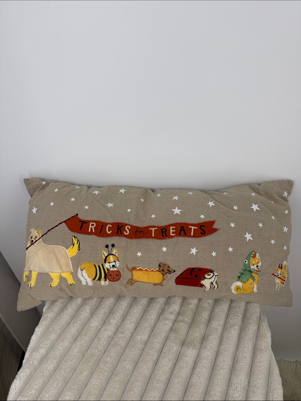 Festive 'Tricks for Treats' Halloween Dog Parade Decorative Pillow 25.5” x 13.5”